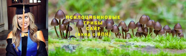 Альфа ПВП Майский