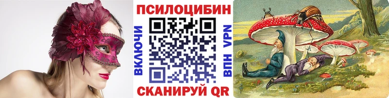 Купить закладки  Советск  Галлюциногенные грибы Cubensis 